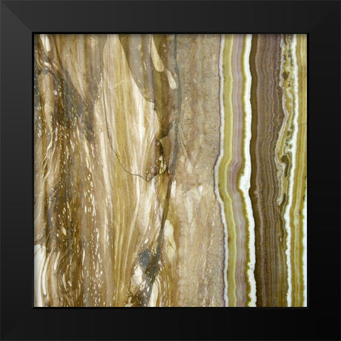 Niagra Sage I Black Modern Wood Framed Art Print by Franklin