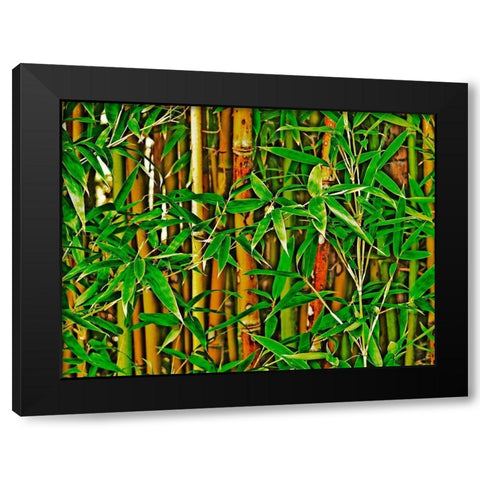 Bamboo in HD I Black Modern Wood Framed Art Print with Double Matting by Simons