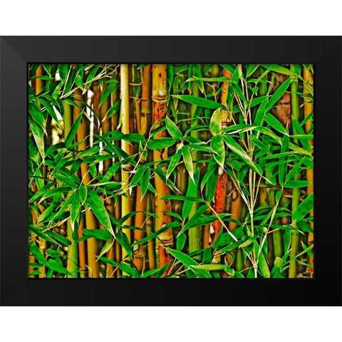 Bamboo in HD I Black Modern Wood Framed Art Print by Simons