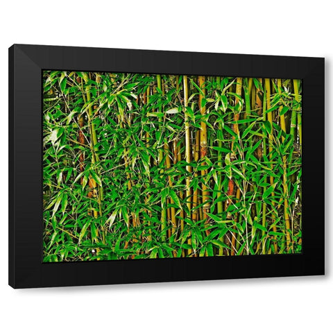 Bamboo in HD II Black Modern Wood Framed Art Print with Double Matting by Simons