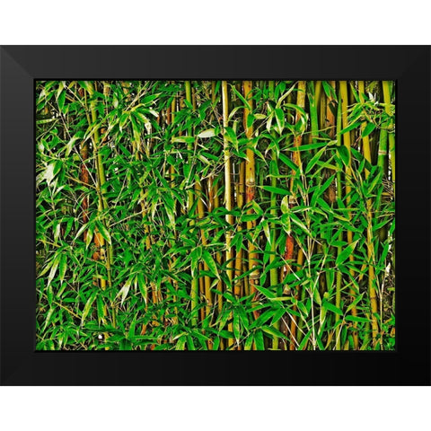 Bamboo in HD II Black Modern Wood Framed Art Print by Simons