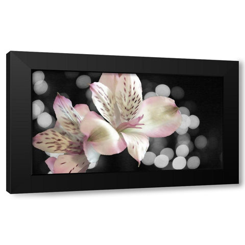 Bubbly in Pink Black Modern Wood Framed Art Print with Double Matting by Simons