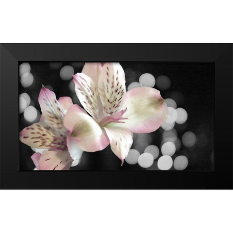 Bubbly in Pink Black Modern Wood Framed Art Print by Simons