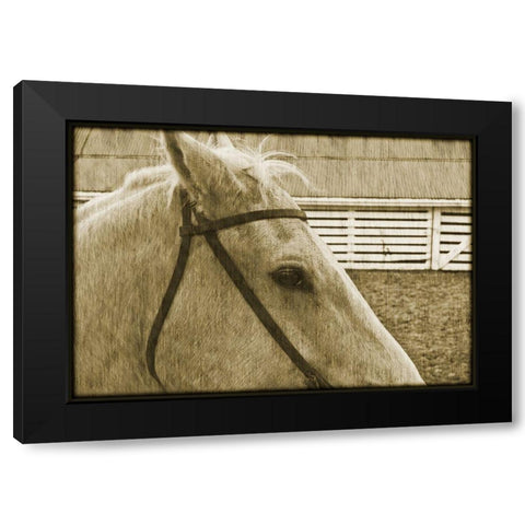 Composure Black Modern Wood Framed Art Print with Double Matting by Simons