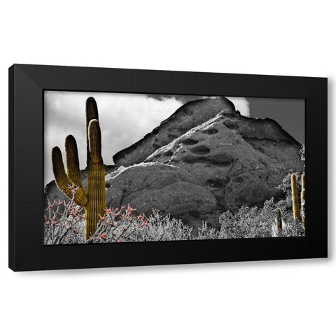 Desert View Black Modern Wood Framed Art Print by Simons