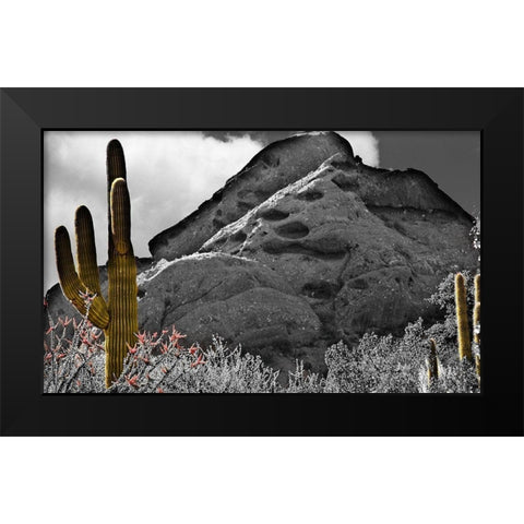 Desert View Black Modern Wood Framed Art Print by Simons