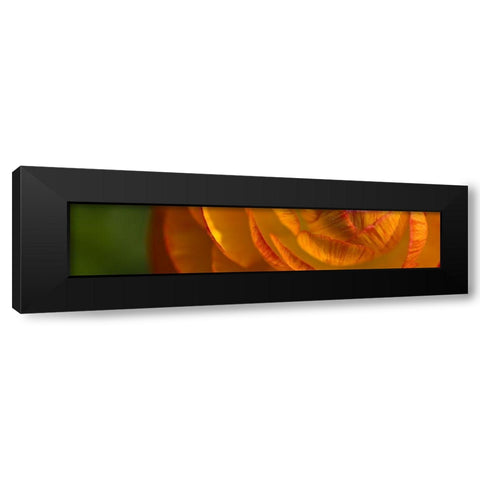 Flower Slice Orange II Black Modern Wood Framed Art Print with Double Matting by Simons