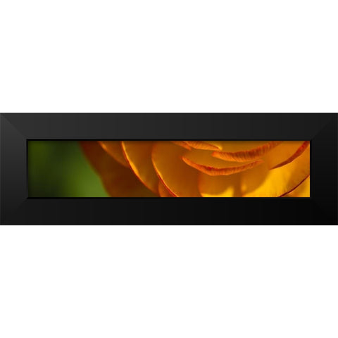 Flower Slice Orange III Black Modern Wood Framed Art Print by Simons