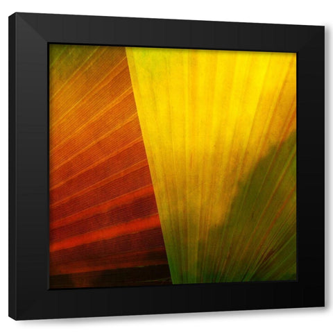 Fondly I Black Modern Wood Framed Art Print with Double Matting by Simons