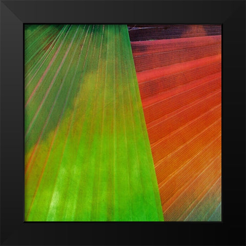 Fondly II Black Modern Wood Framed Art Print by Simons