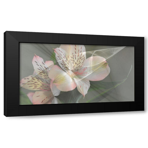 Illusion in Pink Black Modern Wood Framed Art Print with Double Matting by Simons