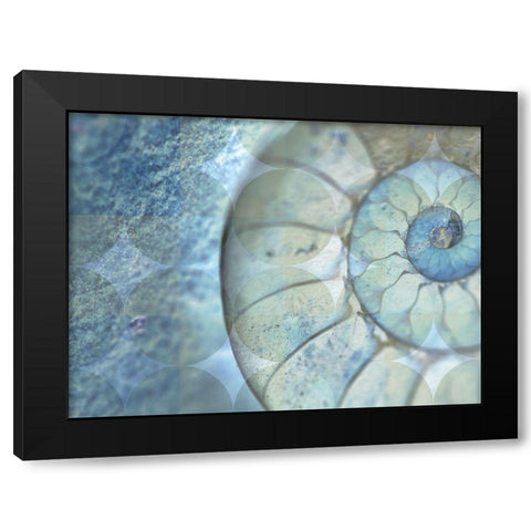 La Conha I Black Modern Wood Framed Art Print with Double Matting by Simons