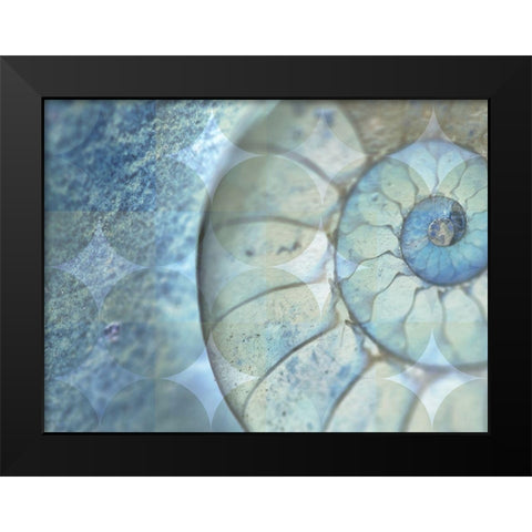 La Conha I Black Modern Wood Framed Art Print by Simons