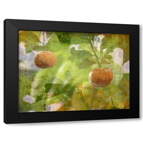 Mandarin Black Modern Wood Framed Art Print with Double Matting by Simons