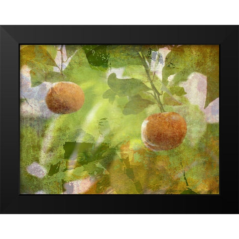 Mandarin Black Modern Wood Framed Art Print by Simons