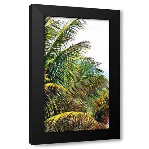 Neon Palm II Black Modern Wood Framed Art Print with Double Matting by Simons