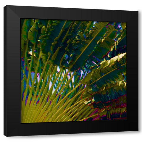 Neon Palm IV Black Modern Wood Framed Art Print with Double Matting by Simons