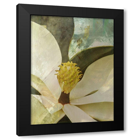 Painted Magnolia Black Modern Wood Framed Art Print with Double Matting by Simons