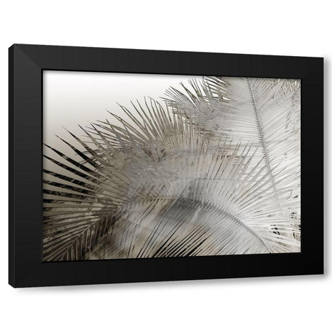Painted Palm I Black and White Black Modern Wood Framed Art Print with Double Matting by Simons