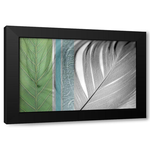 Plumage Cool I Black Modern Wood Framed Art Print with Double Matting by Simons