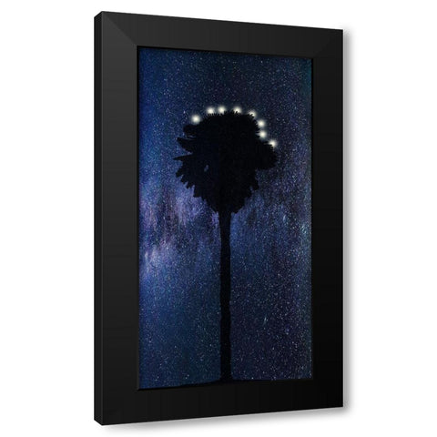 Night Star Black Modern Wood Framed Art Print by Phillip, Jamie