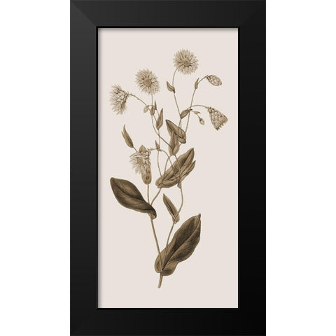 Toned Botanical Black Modern Wood Framed Art Print by Phillip, Jamie