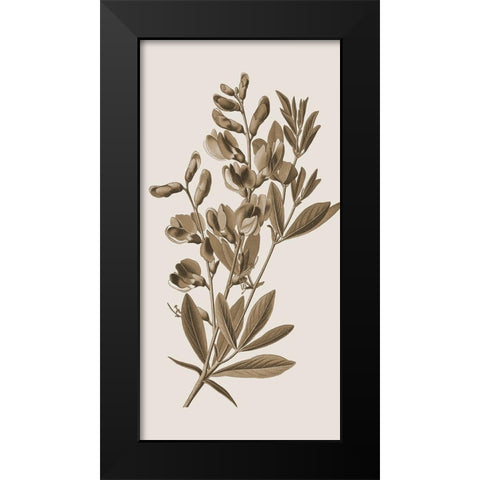 Toned Botanical 2 Black Modern Wood Framed Art Print by Phillip, Jamie