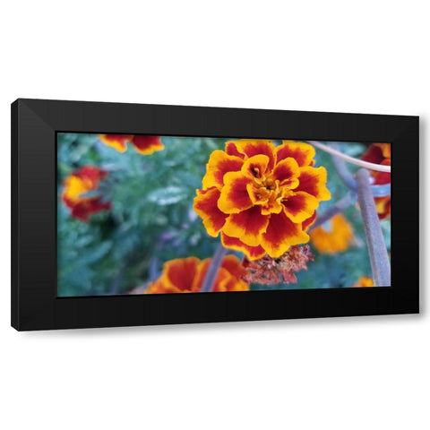 Flow Black Modern Wood Framed Art Print with Double Matting by Phillip, Jamie