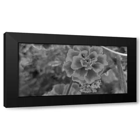 Flow 2 Black Modern Wood Framed Art Print by Phillip, Jamie