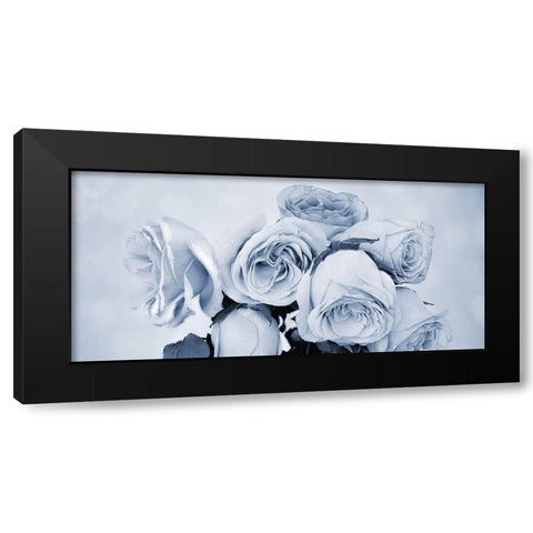Soft Blue Rose Garden Black Modern Wood Framed Art Print with Double Matting by Phillip, Jamie