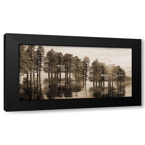 Take Me To The Bayou Black Modern Wood Framed Art Print with Double Matting by Phillip, Jamie