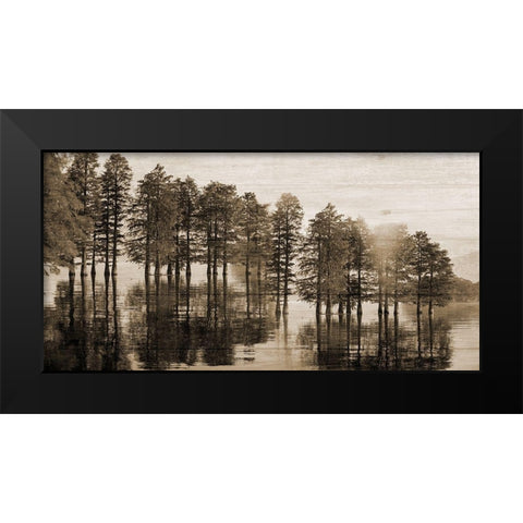 Take Me To The Bayou Black Modern Wood Framed Art Print by Phillip, Jamie