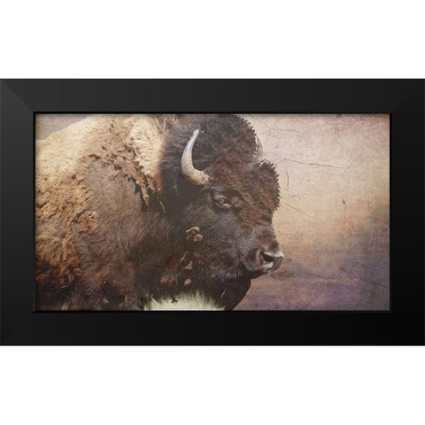 Wild Bison Black Modern Wood Framed Art Print by Phillip, Jamie