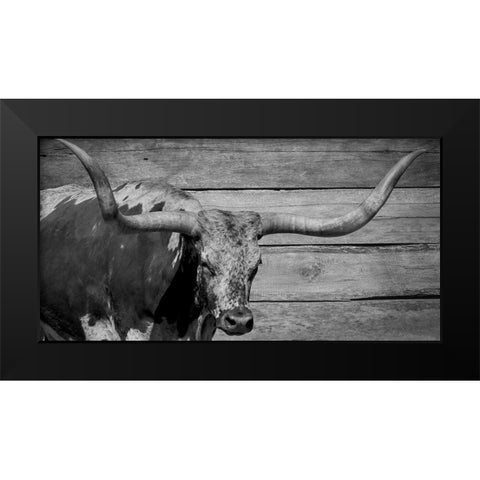 Long Horn Bull Black Modern Wood Framed Art Print by Phillip, Jamie