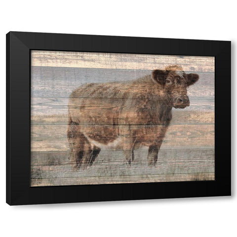 Farm Cow Black Modern Wood Framed Art Print with Double Matting by Phillip, Jamie