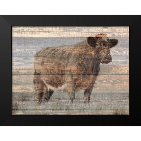 Farm Cow Black Modern Wood Framed Art Print by Phillip, Jamie