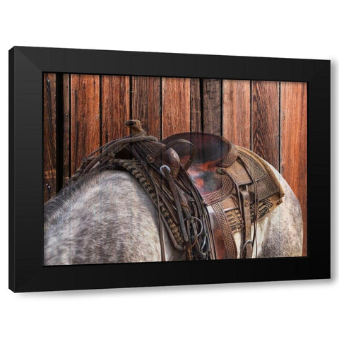 Horse On The Ranch Black Modern Wood Framed Art Print by Phillip, Jamie