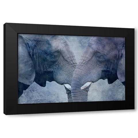 Elephant Love Black Modern Wood Framed Art Print by Phillip, Jamie