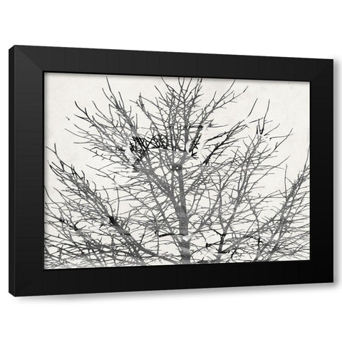 Front Door View Black Modern Wood Framed Art Print by Phillip, Jamie