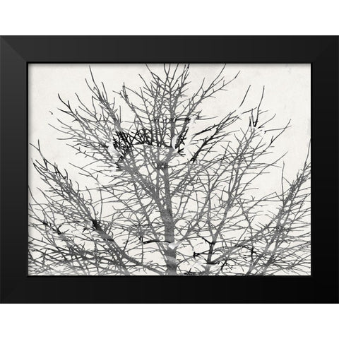 Front Door View Black Modern Wood Framed Art Print by Phillip, Jamie