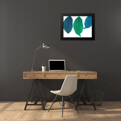 Xrayed Black Modern Wood Framed Art Print by Phillip, Jamie