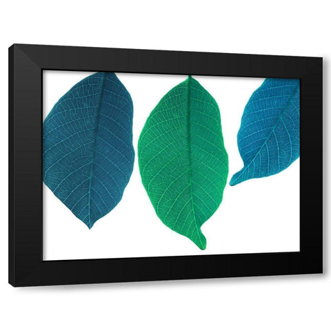 Xrayed Black Modern Wood Framed Art Print by Phillip, Jamie