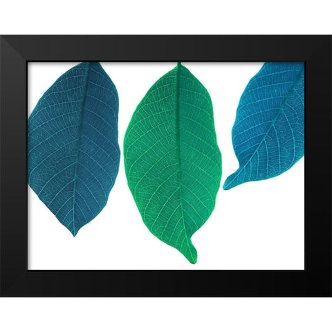 Xrayed Black Modern Wood Framed Art Print by Phillip, Jamie
