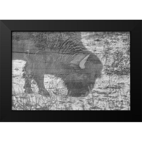 American Buffalo Black Modern Wood Framed Art Print by Phillip, Jamie