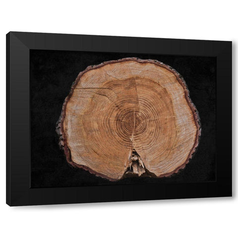 Dark Wood Black Modern Wood Framed Art Print with Double Matting by Phillip, Jamie