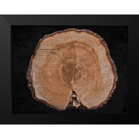 Dark Wood Black Modern Wood Framed Art Print by Phillip, Jamie