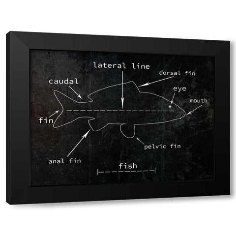 Fish Black Modern Wood Framed Art Print with Double Matting by Phillip, Jamie