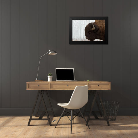Bison Season 4 Black Modern Wood Framed Art Print by Phillip, Jamie