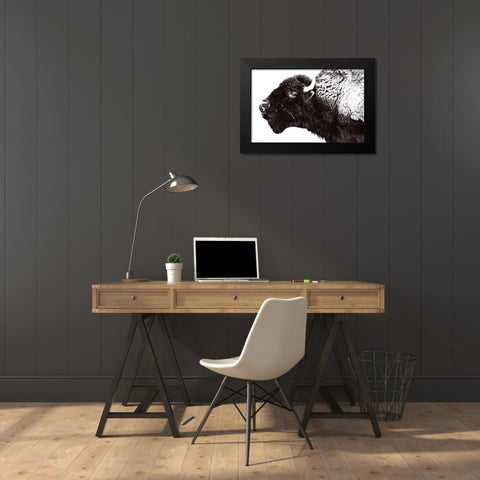 Bison Season 7 Black Modern Wood Framed Art Print by Phillip, Jamie