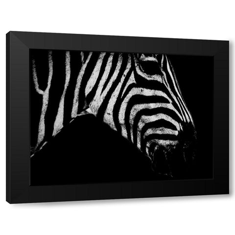 Africa Savanna 2 Black Modern Wood Framed Art Print with Double Matting by Phillip, Jamie